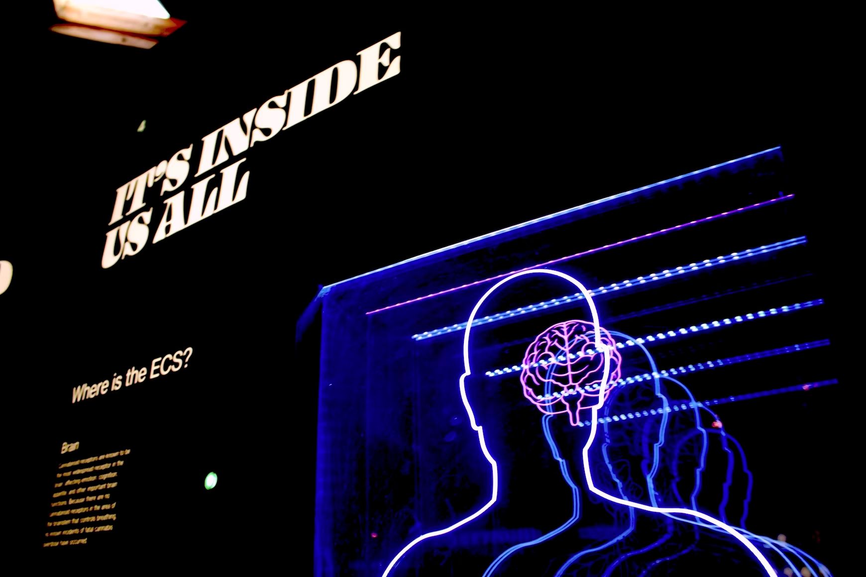 The role of subtitles in increasing audience engagement